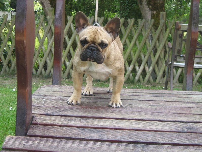 Publication : du domaine de Cateline Auteur : DOMAINE DE CATELINE