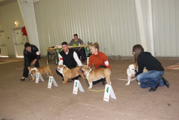 Publication : du domaine de Cateline Auteur : BARRIONUEVO