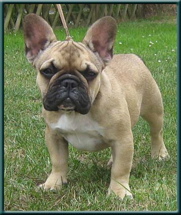 Publication : du domaine de Cateline Auteur : DOMAINE DE CATELINE