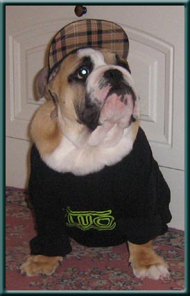 Publication : du domaine de Cateline Auteur : BARRIONUEVO