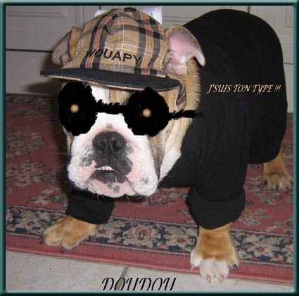 Publication : du domaine de Cateline Auteur : BARRIONUEVO