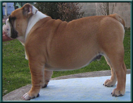 Publication : du domaine de Cateline Auteur : BARRIONUEVO