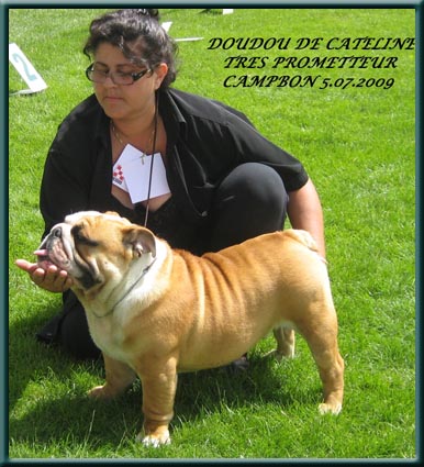 Publication : du domaine de Cateline Auteur : BARRIONUEVO