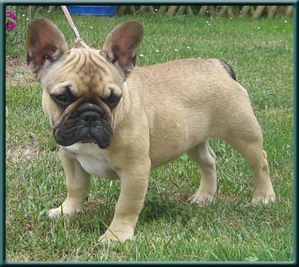 Publication : du domaine de Cateline Auteur : DOMAINE DE CATELINE