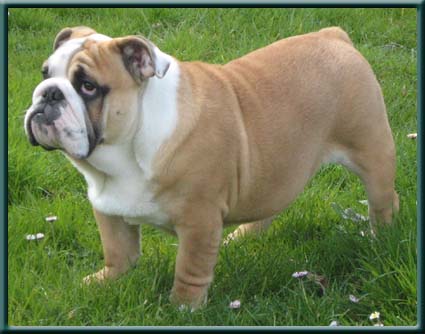 Publication : du domaine de Cateline Auteur : BARRIONUEVO