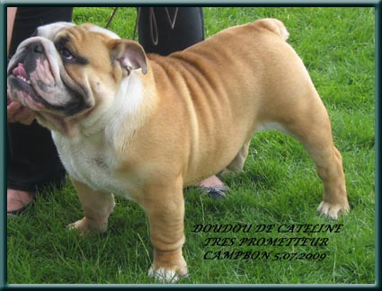 Publication : du domaine de Cateline Auteur : BARRIONUEVO