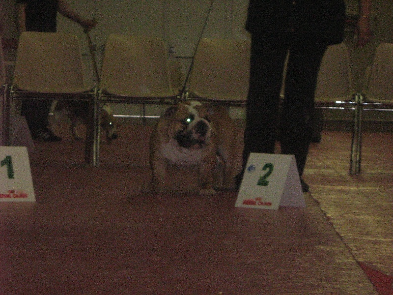 Publication : du domaine de Cateline Auteur : BARRIONUEVO