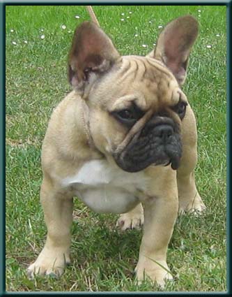 Publication : du domaine de Cateline Auteur : DOMAINE DE CATELINE