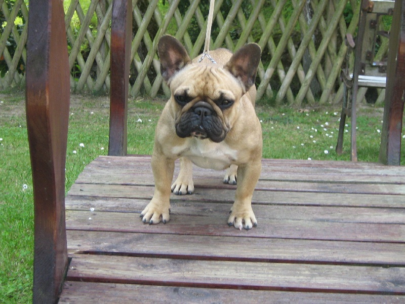 Publication : du domaine de Cateline Auteur : DOMAINE DE CATELINE