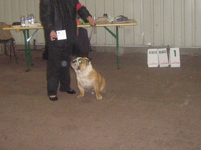 Amy da maro ot streletz dit doudou du domaine de Cateline - MEILLEUR JEUNE