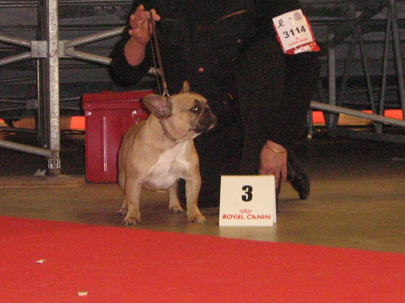 Elena du domaine de Cateline - 3 ème TRES BON CLASSE JEUNE