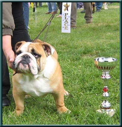 Amy da maro ot streletz dit doudou du domaine de Cateline - TRES PROMETTEUR 3 eme