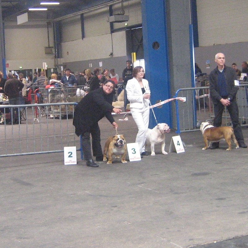 Amy da maro ot streletz dit doudou du domaine de Cateline - 3 EME EXCELLENT CLASSE OUVERTE