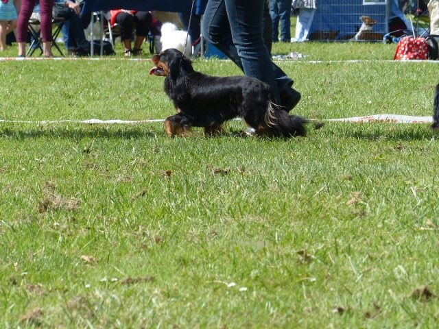 Hyness de Coursières - 3 éme excellent en classe ouverte