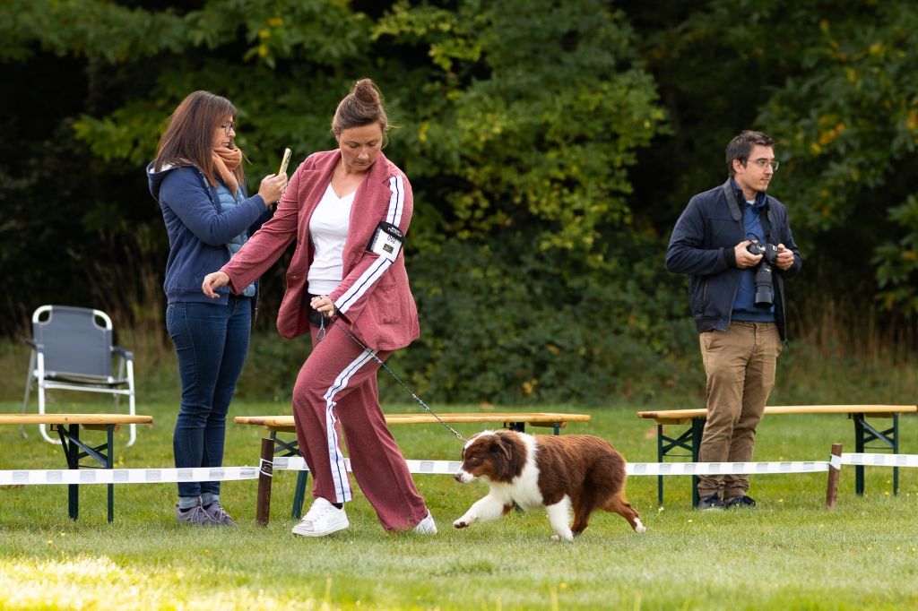 Air buddies (bud) du domaine de Keops