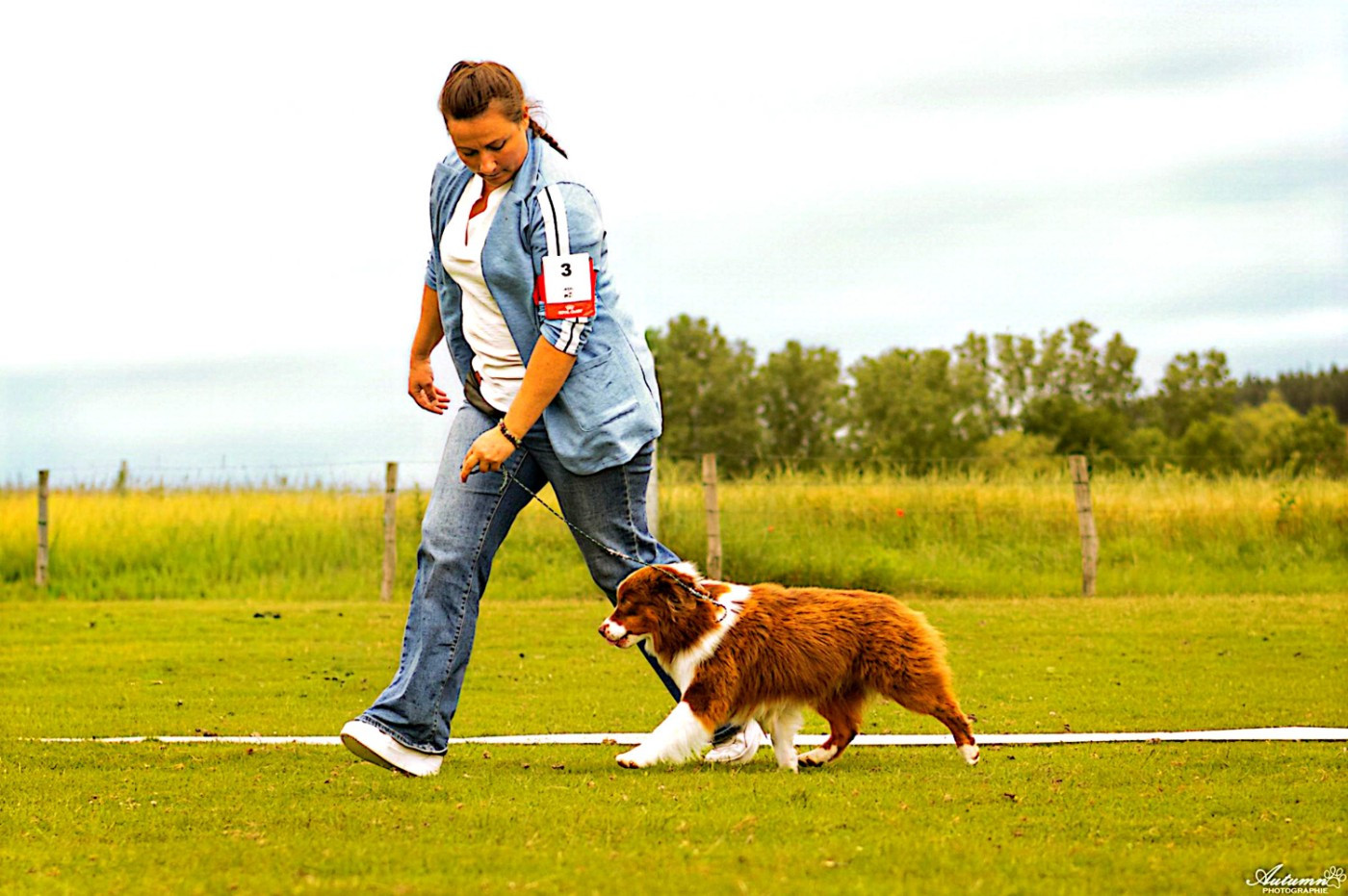 Air buddies (bud) du domaine de Keops