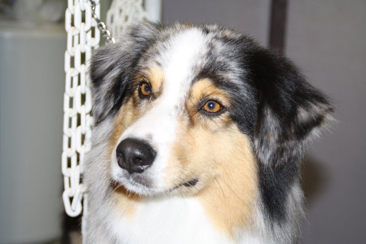 Eloa du domaine de Keops