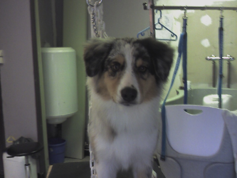 Eloa du domaine de Keops