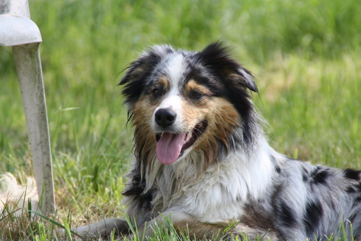 Eloa du domaine de Keops