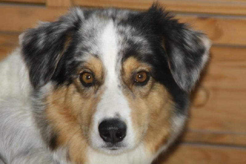 Eloa du domaine de Keops