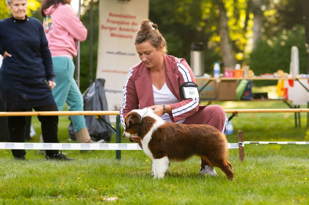 Air buddies (bud) du domaine de Keops