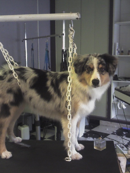 Eloa du domaine de Keops