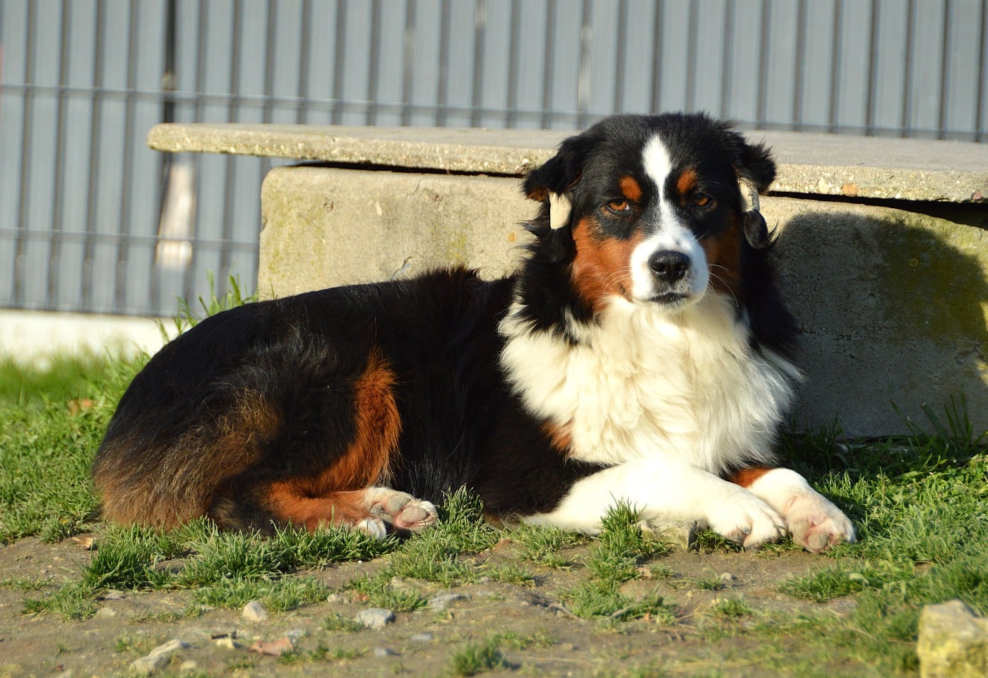 Again And Again "Robbin"