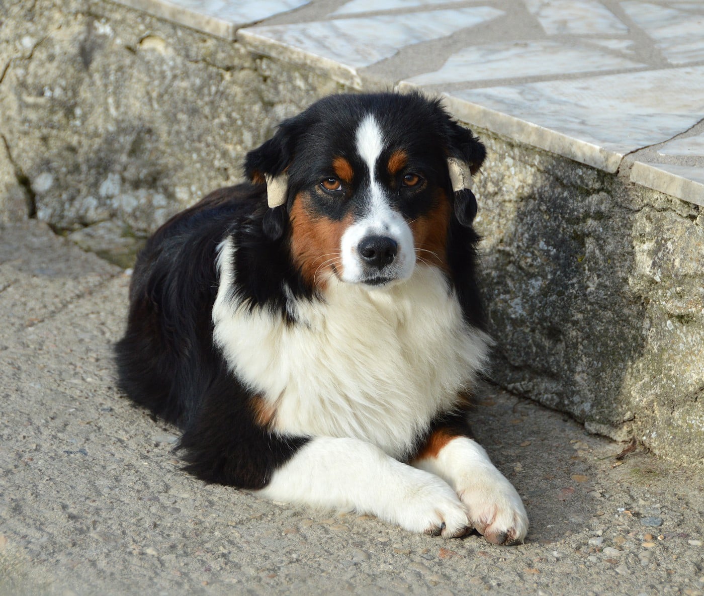 Again And Again "Robbin"