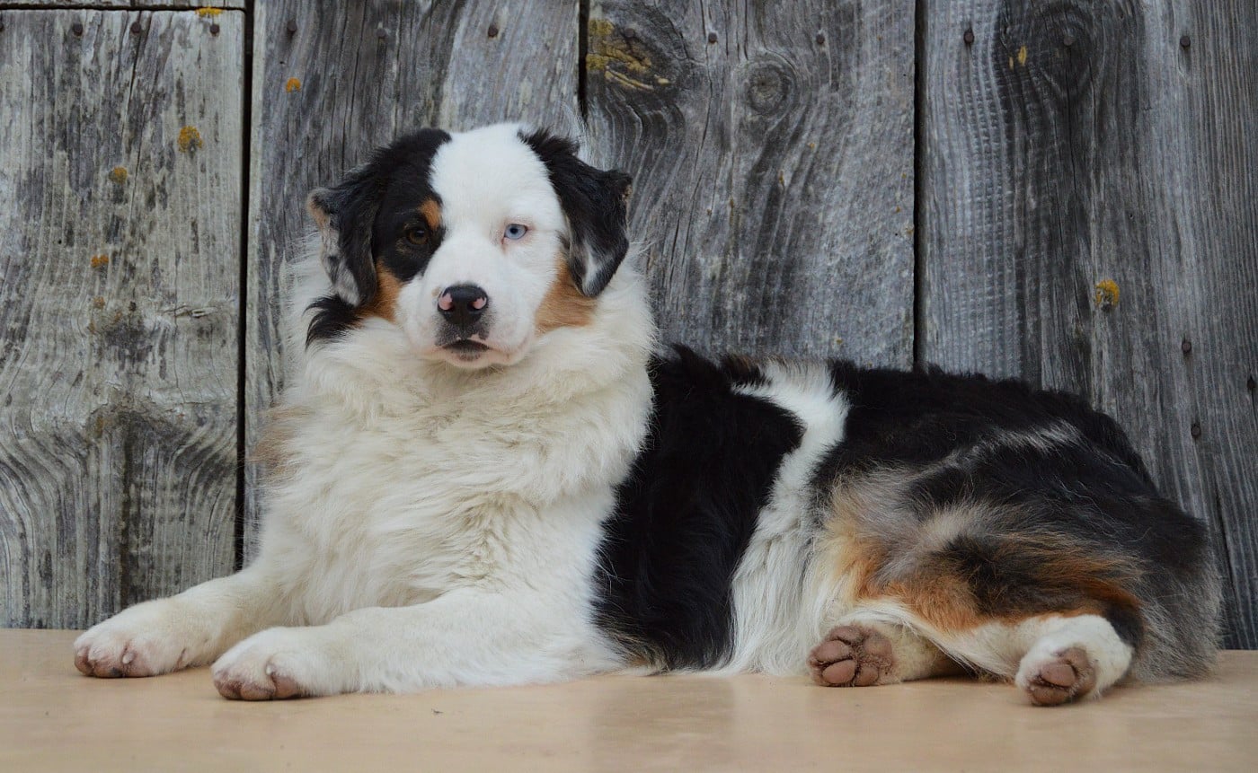 A Good Heart "Angie"