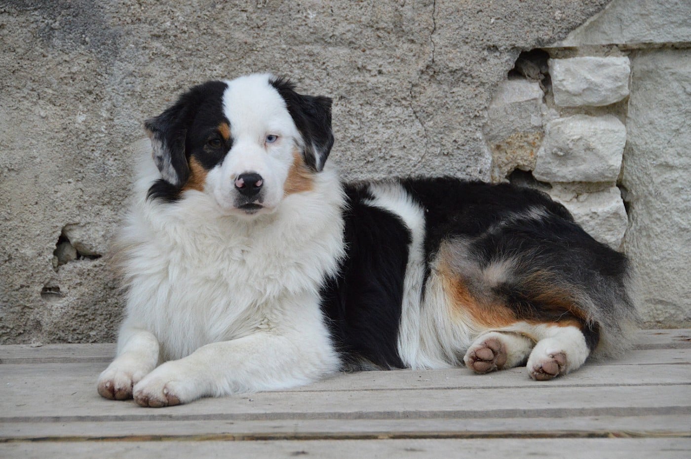 A Good Heart "Angie"