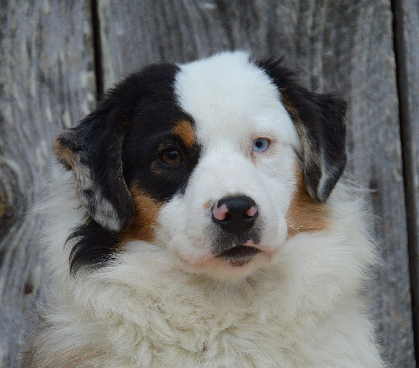 A Good Heart "Angie"