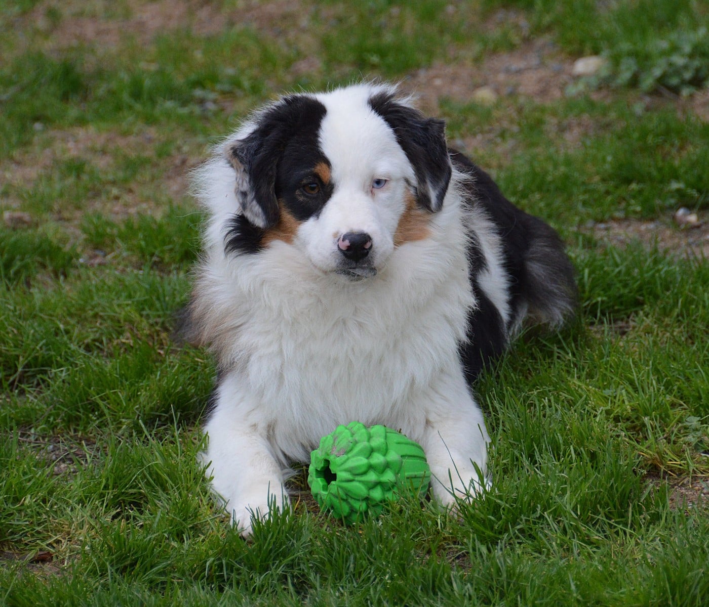 A Good Heart "Angie"