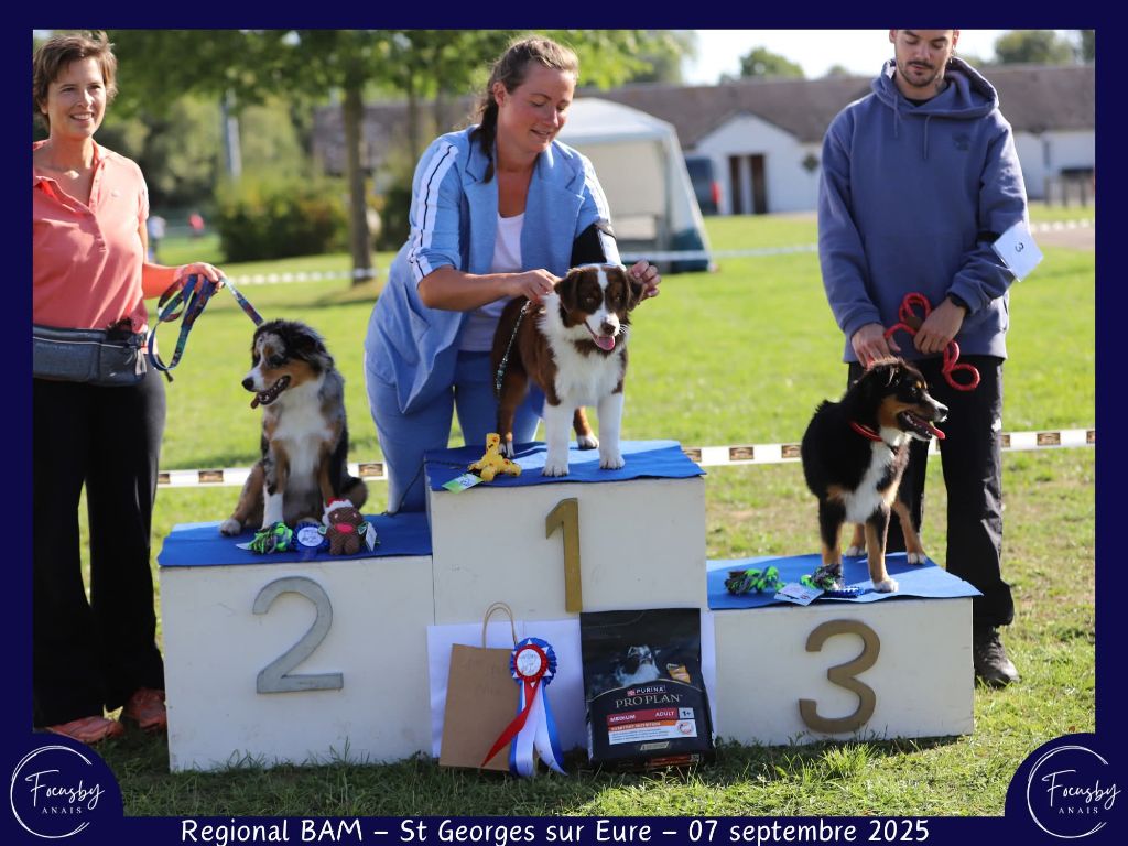 Air buddies (bud) du domaine de Keops - 1er très prometteur meilleur puppy