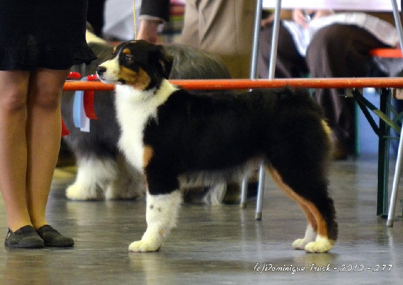 Give me a kiss du domaine de Keops - 2ème très prometteur