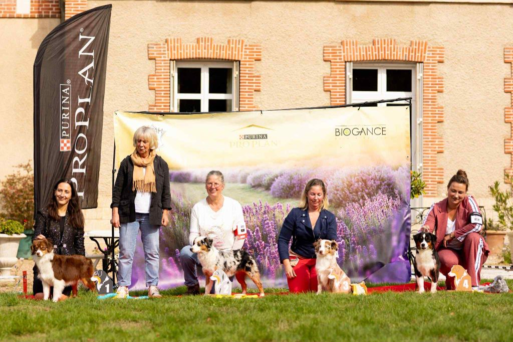 Again and again (robbin) du domaine de Keops - 4ème