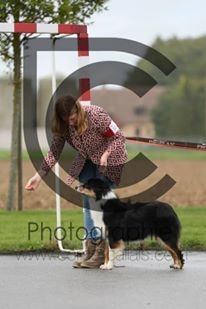 Sr.fairview come back home (faya) de l'Orée des charmois - 2ème excellent