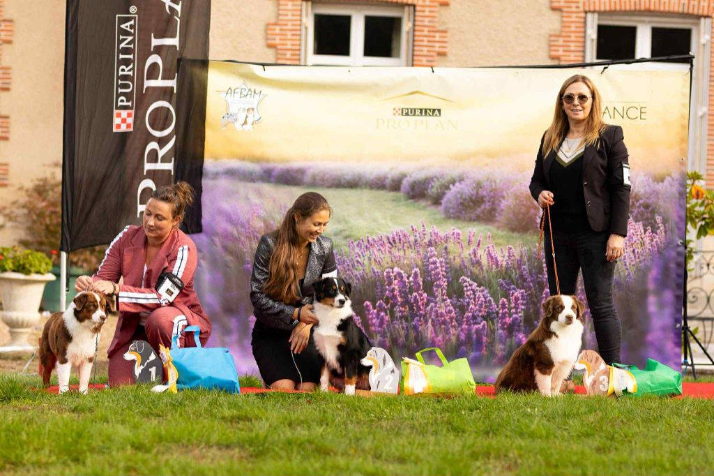 Air buddies (bud) du domaine de Keops - 1er très prometteur