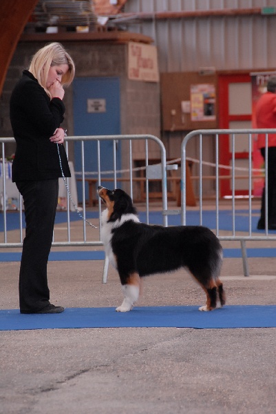 Sr.fairview come back home (faya) de l'Orée des charmois - très bon