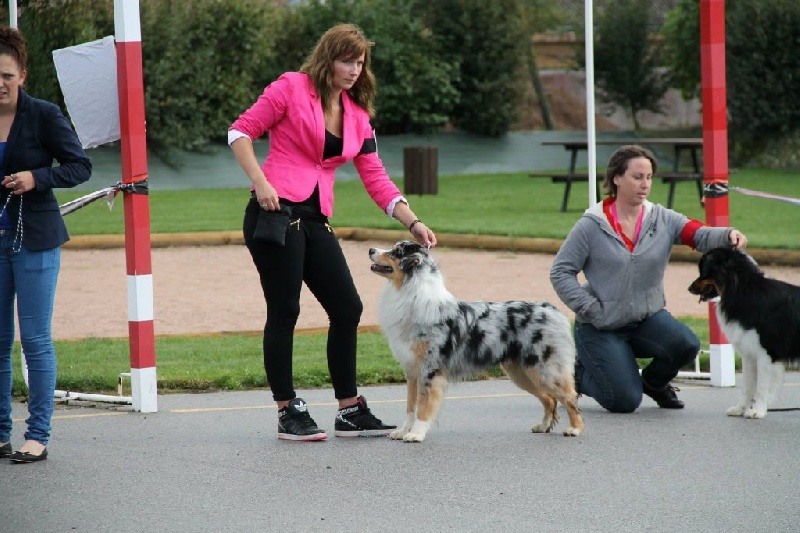 I'm the greatest star (indiana) du domaine de Keops - excellent non classé