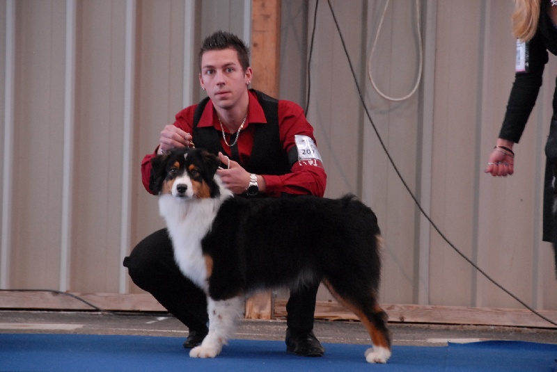 Give me a kiss du domaine de Keops - 8ème très prometteur