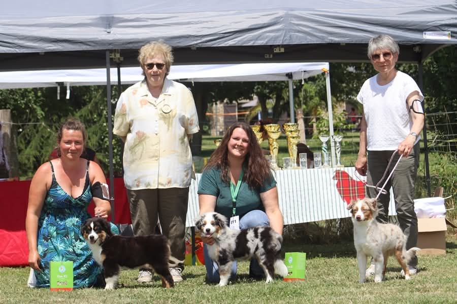 Again and again (robbin) du domaine de Keops - 1er très prometteur meilleur baby