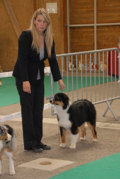 Sr.fairview come back home (faya) de l'Orée des charmois - très prometteur