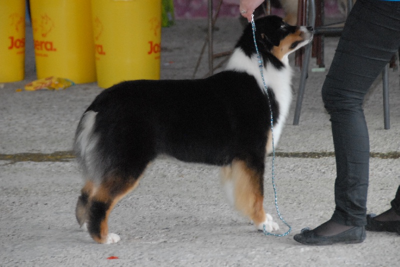 Sr.fairview come back home (faya) de l'Orée des charmois - Excellent