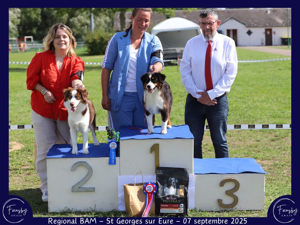 Again and again (robbin) du domaine de Keops - 1er très prometteur