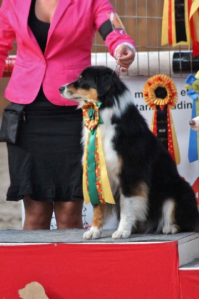 Sr.fairview come back home (faya) de l'Orée des charmois - 1er excellent