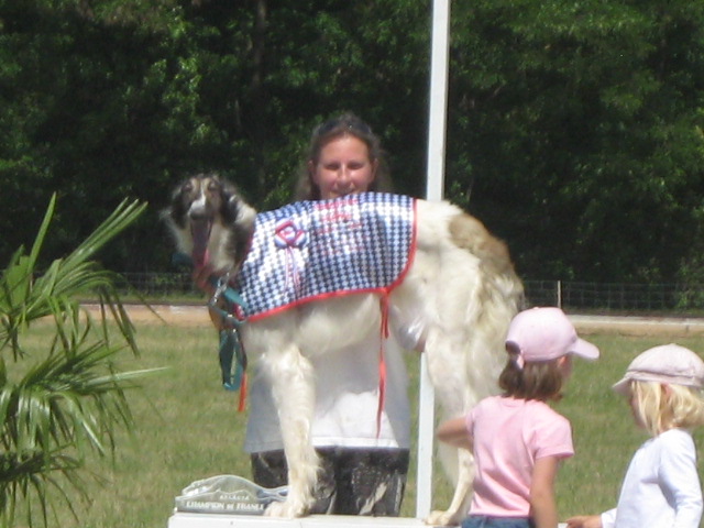 CH. Elvira de Prjevalski