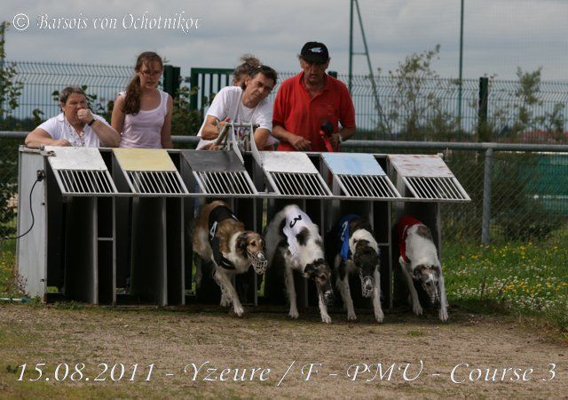 CH. Elvira de Prjevalski