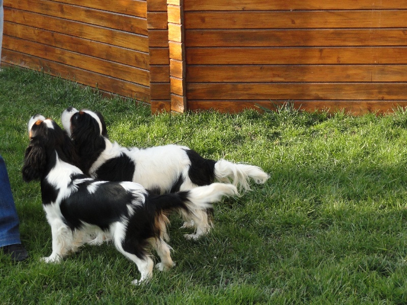 Publication : de Nais Line Auteur : anais vautard