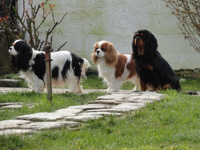 Publication : de Nais Line Auteur : anais vautard