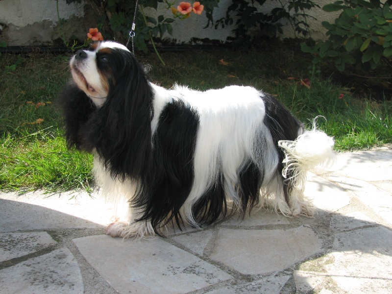 Publication : de Nais Line Auteur : anais vautard